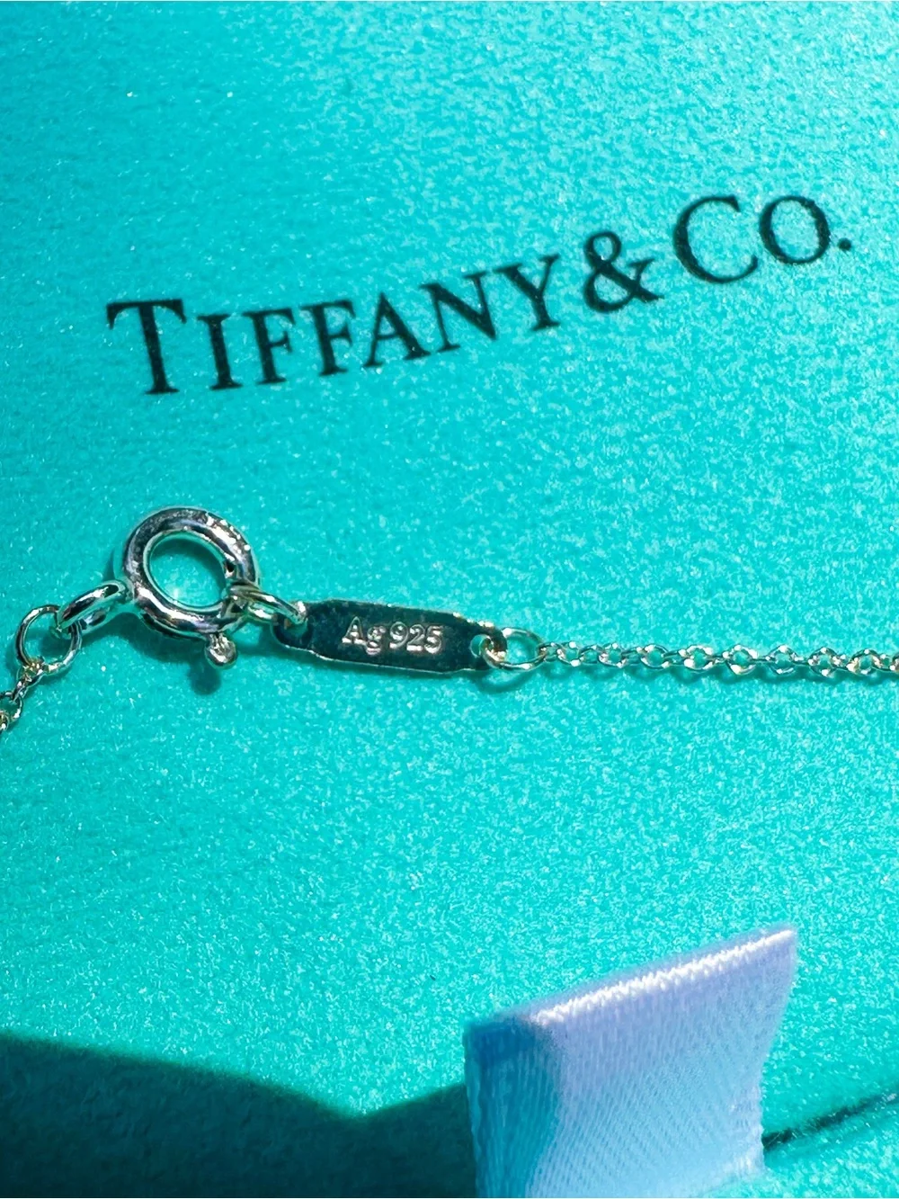 Tiffany & Co Purse Charm Necklace - Picture 5 of 7